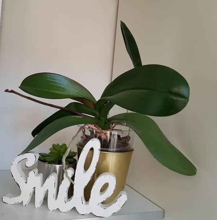 Modern Flat With Perfect Location Apartament